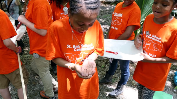 Students from the St. Ann School of Bridgeport, Connecticut during their public inventory fieldwork looking for insects at BioBlitz 2013.