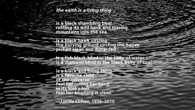 the earth is a living thing

is a lack shambling bear
ruffling its wild back and tossing
mountains into the sea

is a black hawk circling 
the burying ground circling the bones
picked clean and discarded

is a fish black blind in the belly of water
is a diamond blind in the black belly of coal

is a black and living thing
is a favorite child
of the universe
feel her rolling her hand
in its kinky hair
feel her brushing it clean

-Lucille Clifton, 1936-2010