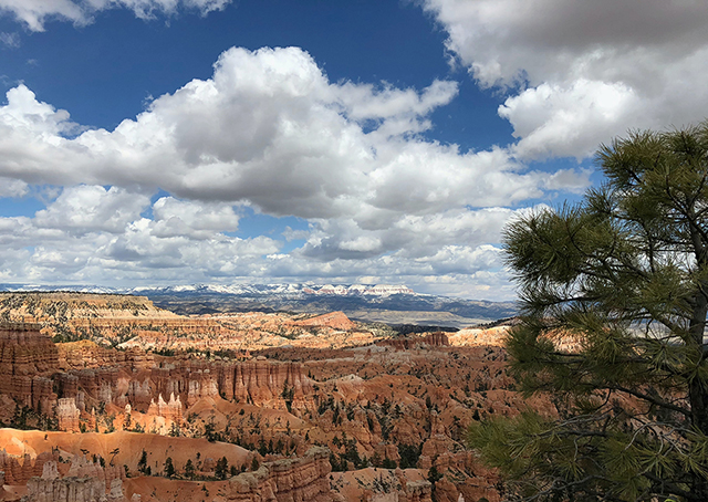 View of national park