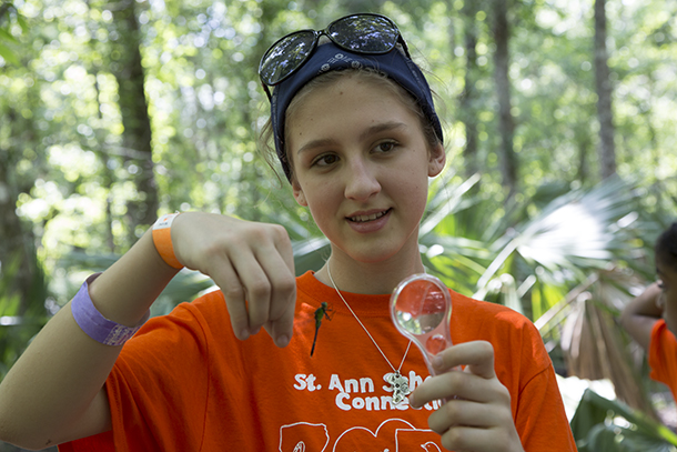 A student from the St. Ann School of Bridgeport, Connecticut during her public inventory fieldwork looking for insects at BioBlitz 2013.