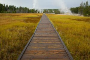 Path to Yellowstone.