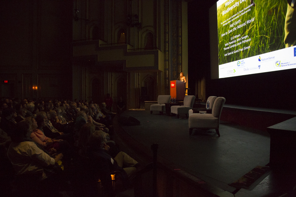 Image of Paula Ehrlich speaking on stage.