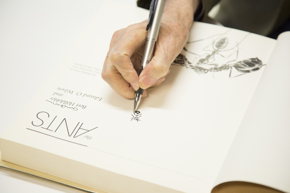 Image of E.O. Wilson drawing an ant. 