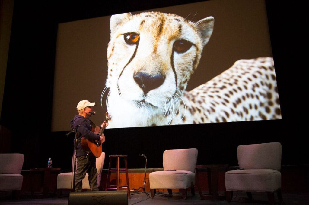 Image of Paul Simmons playing the guitar on stage with a picture of a cheetah in the background.